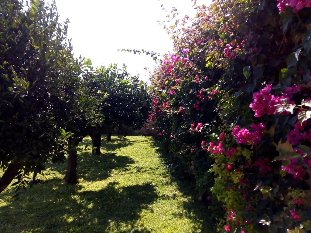 Baglio Olivastro Bed and Breakfast Digerbato Εξωτερικό φωτογραφία